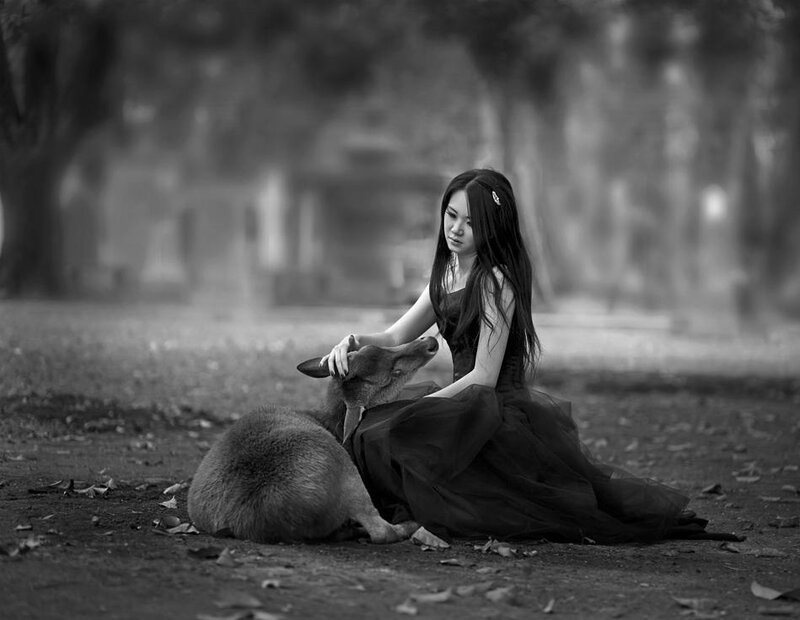 Woman Petting Deer