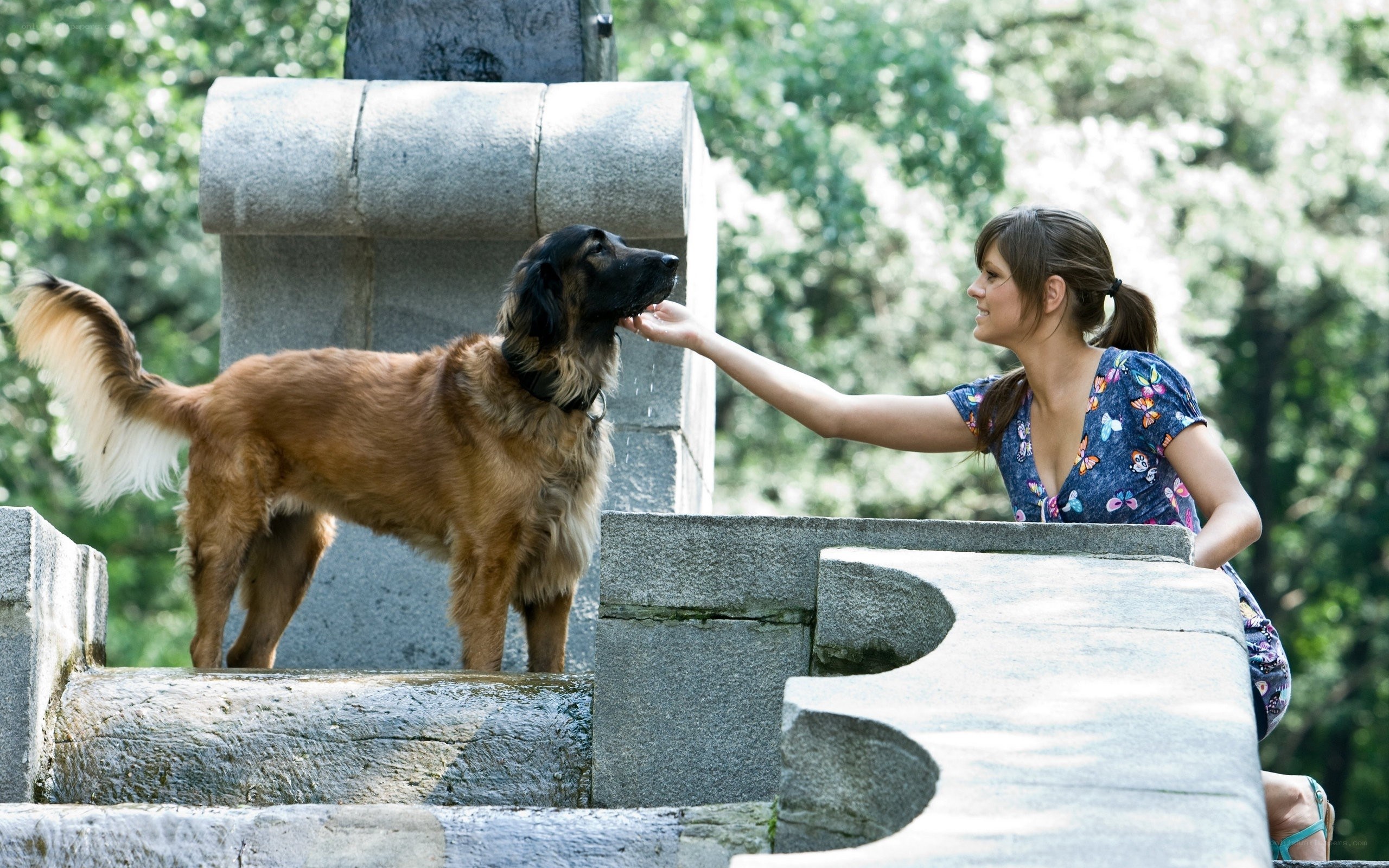Woman petting dog on steps