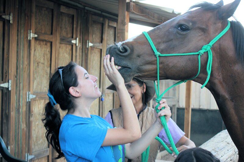 Woman Petting Horse — Brown, Calm, Afternoon