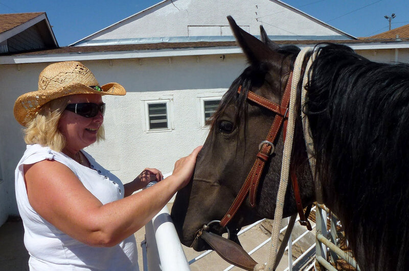 Woman Petting Horse — White