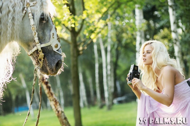 Woman Photographing Horse