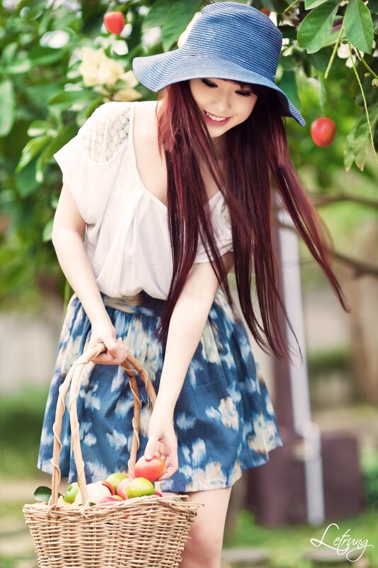 woman picking apples in garden