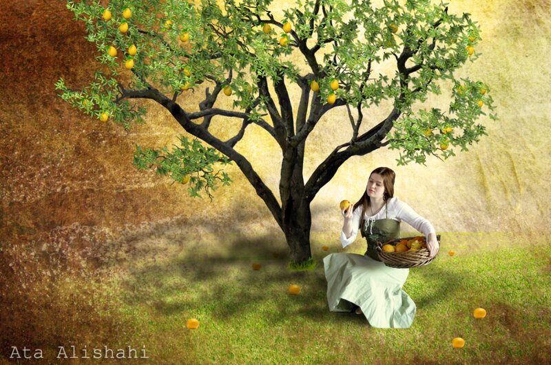 Woman Picking Lemons