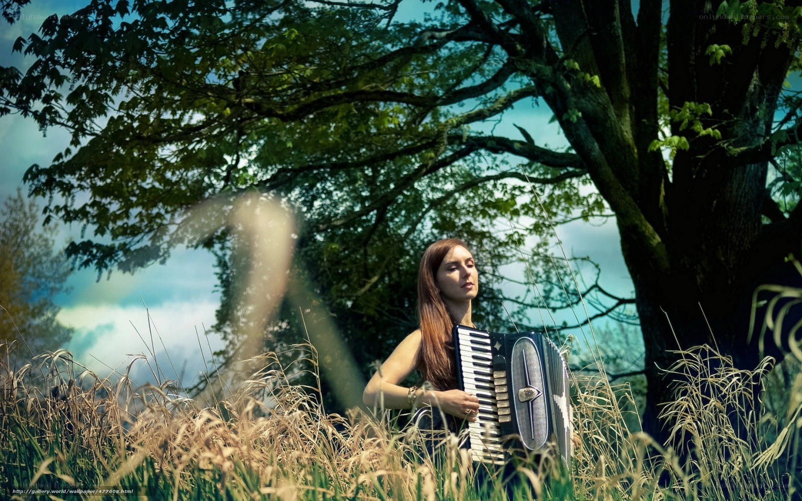 Woman playing accordion in a field