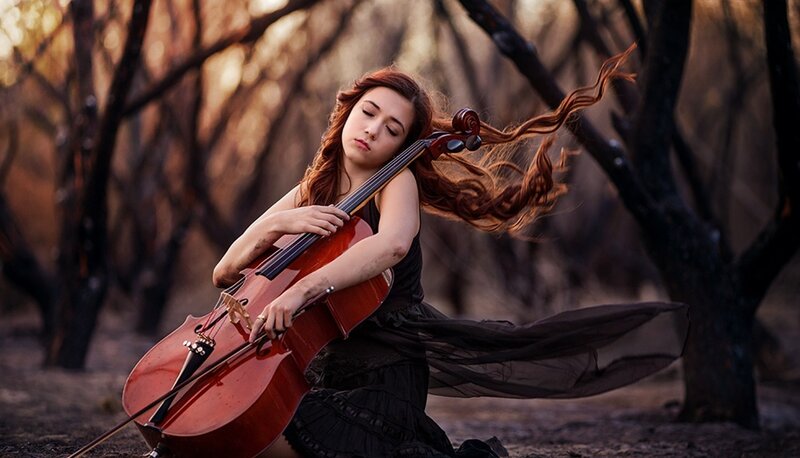 Woman Playing Cello — Brown, Dramatic, Sunset, Photograph, Trees