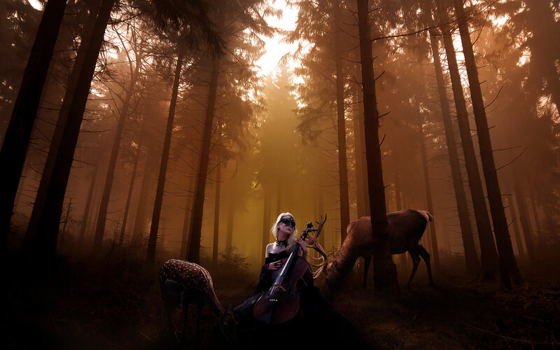 Woman Playing Cello — Brown, Dramatic, Sunset