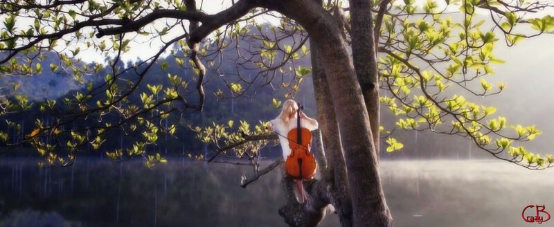 Woman Playing Cello — Green, Serene, Morning, Digital Art