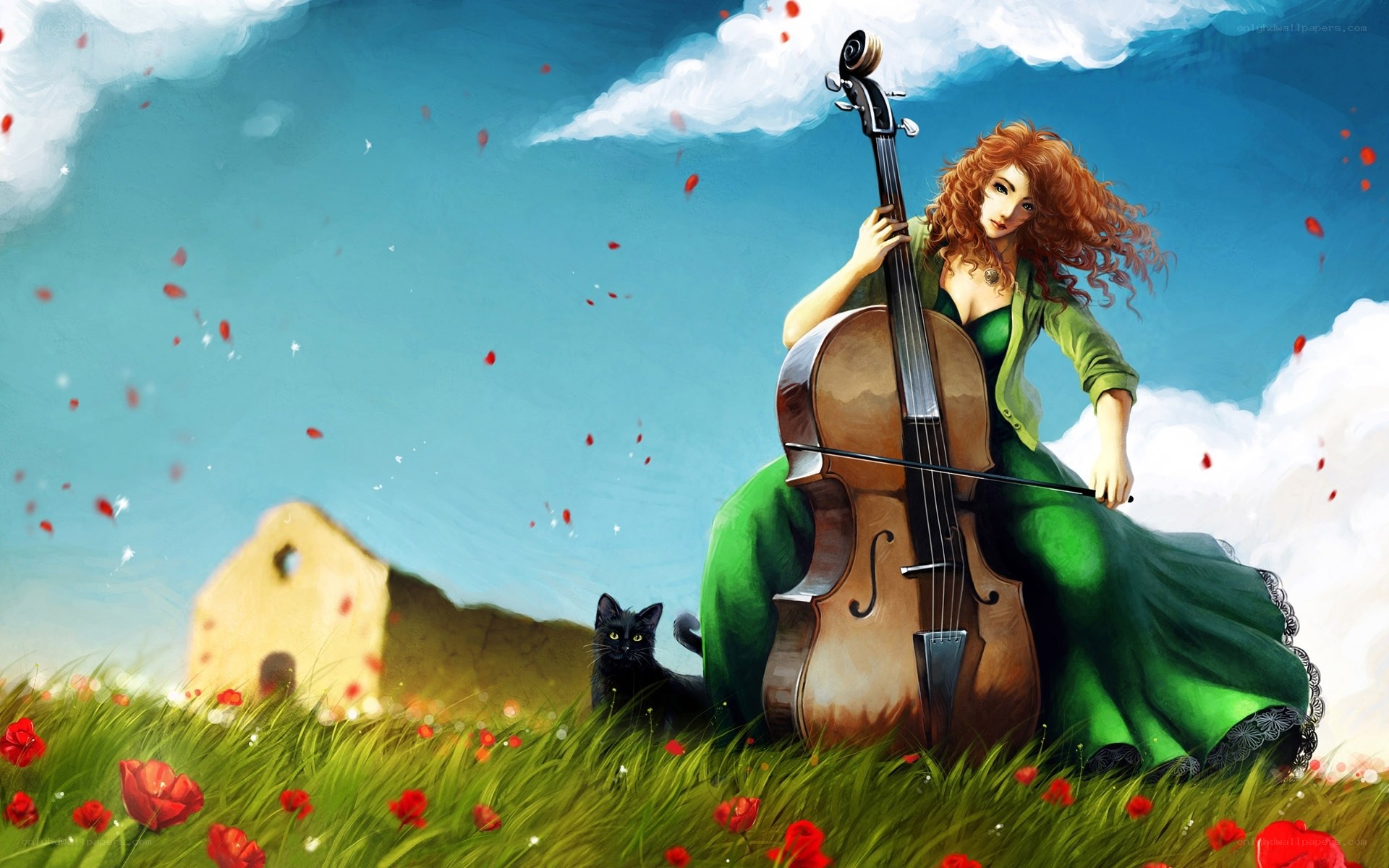 Woman playing cello in a field