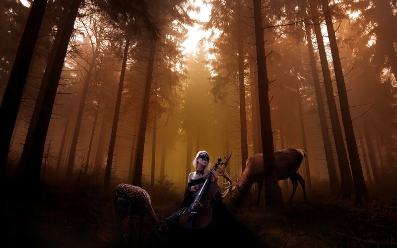 Woman playing cello in a forest
