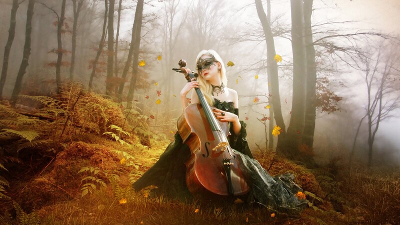 Woman playing cello in a misty forest