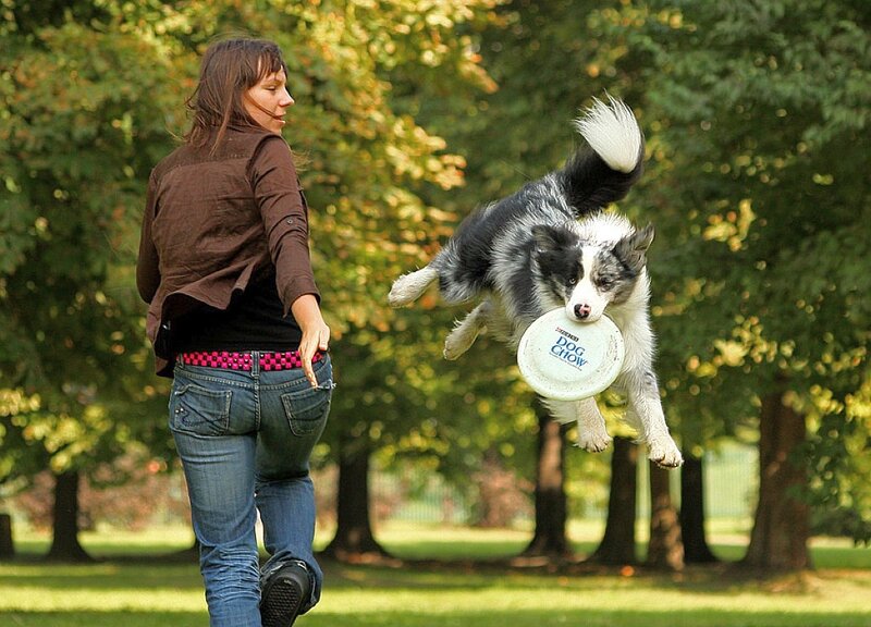 woman playing frisbee with dog