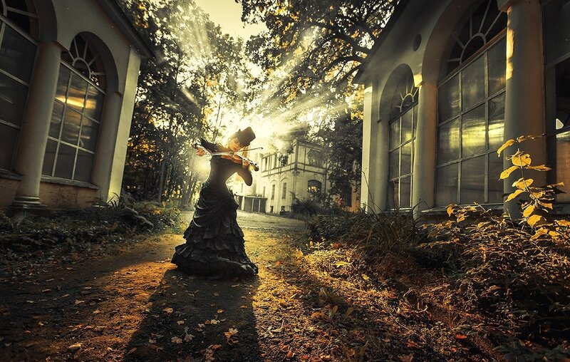 Woman Playing Violin — Brown, Dramatic, Autumn, Photograph