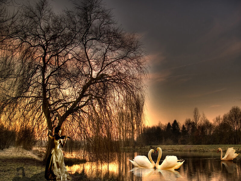 Woman Playing Violin — Gold, Dramatic, Sunset