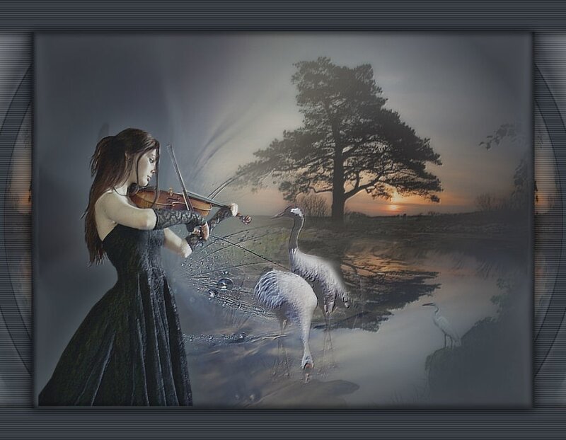 Woman Playing Violin — Gray