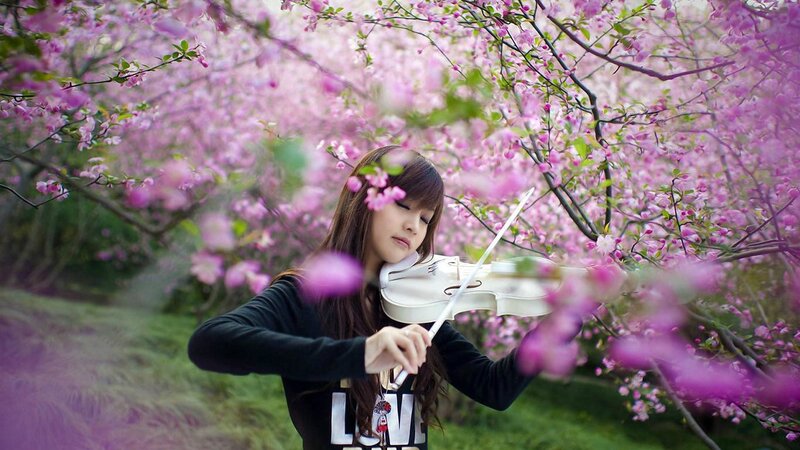 Woman playing violin in cherry blossoms