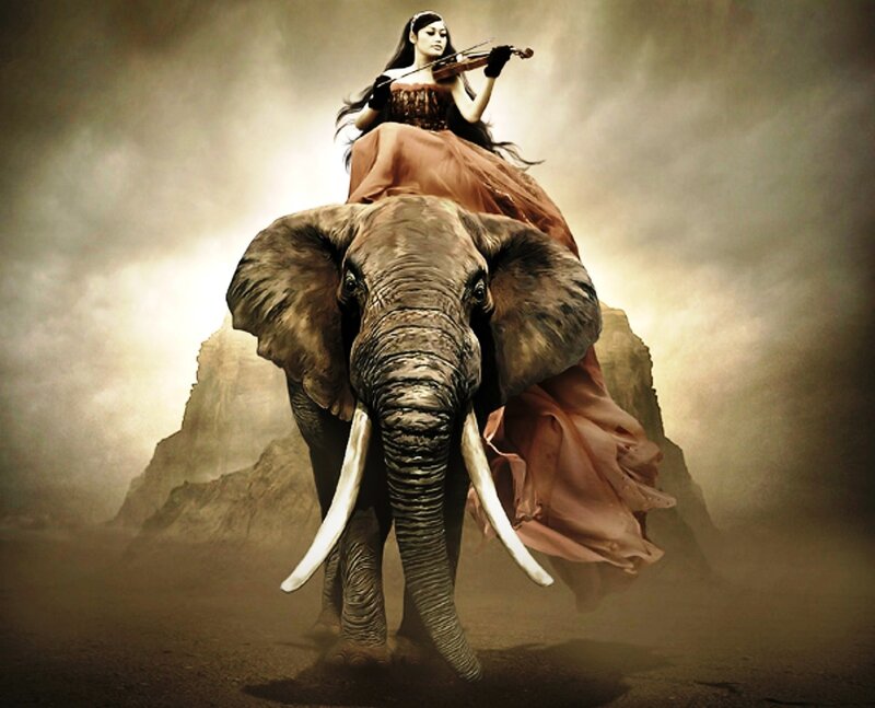 Woman Playing Violin on Elephant