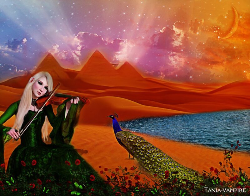 Woman Playing Violin — Orange, Fantasy