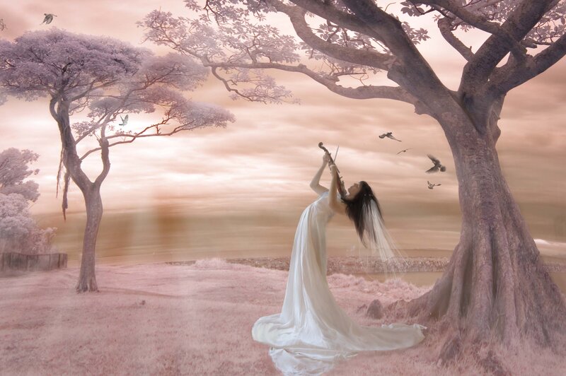 Woman Playing Violin — Pink, Serene, Sunset