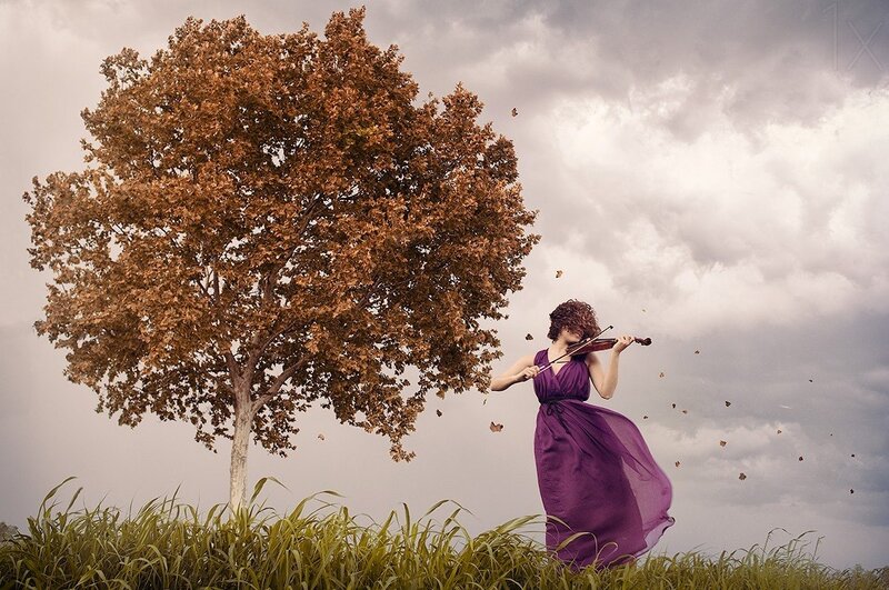 Woman Playing Violin — Purple, Dramatic, Autumn