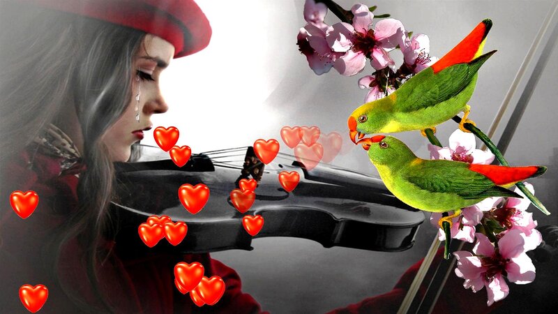 Woman Playing Violin — Red, Dramatic, Digital Art, Birds