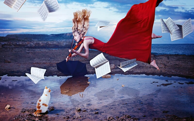 Woman Playing Violin — Red, Dramatic, Sunset, Digital Art, Cat, Music Sheets