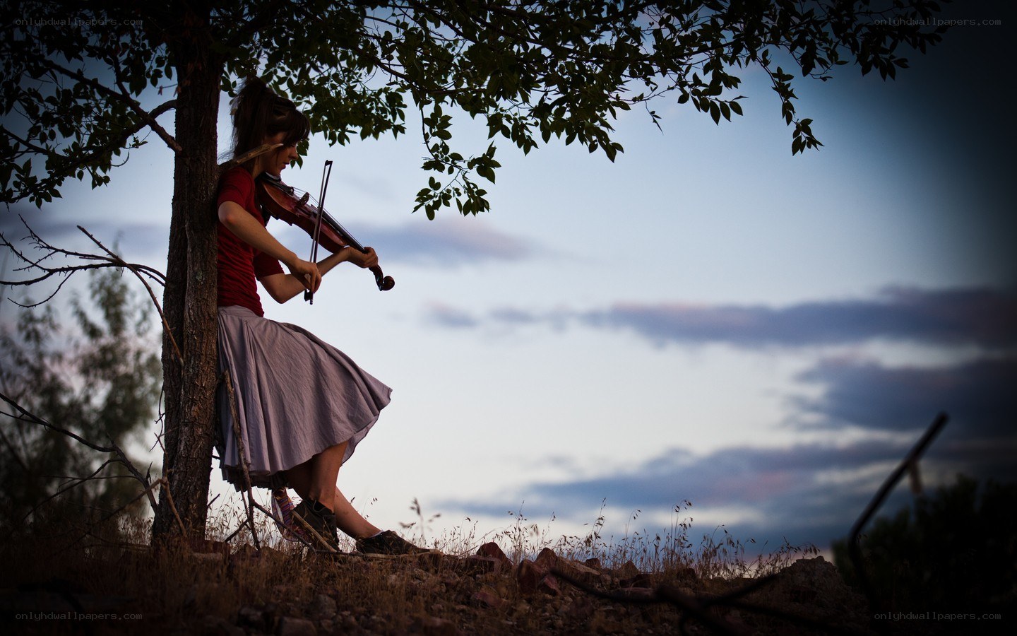 woman playing violin under tree