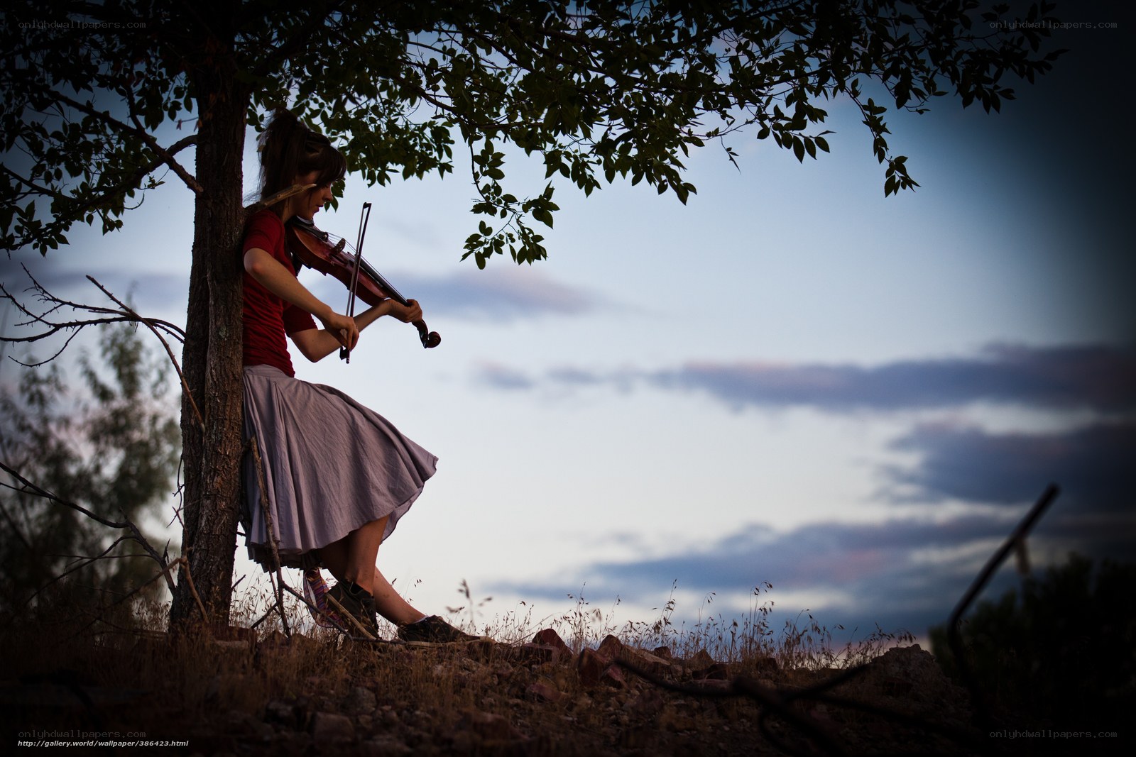 woman playing violin under tree