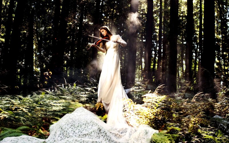 Woman Playing Violin — White, Serene, Afternoon