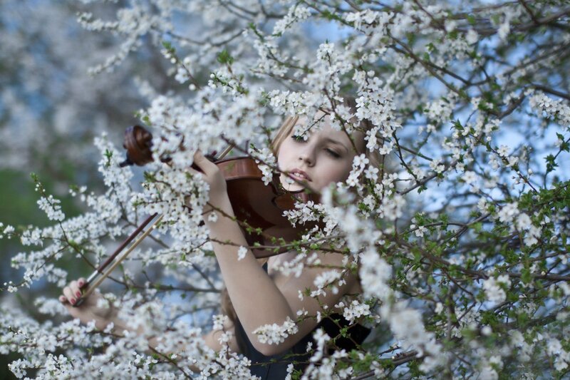 Woman Playing Violin — White, Serene, Spring