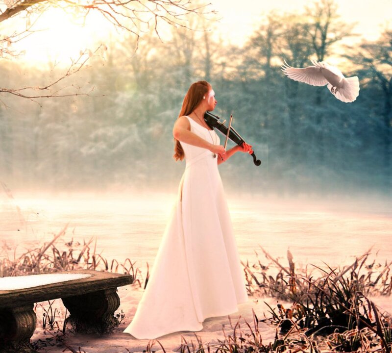 Woman Playing Violin — White, Serene, Sunrise