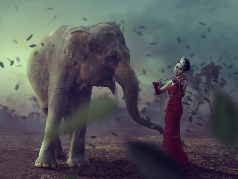 Woman Playing Violin with Elephant
