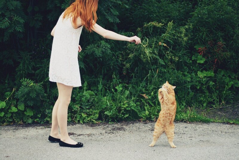 woman playing with cat