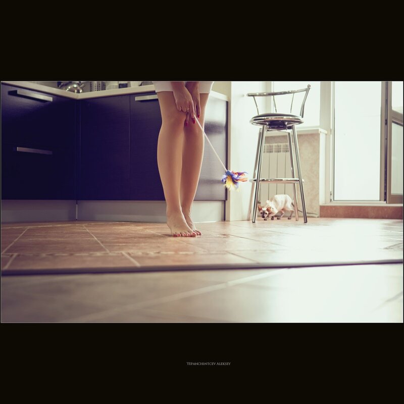 woman playing with cat toy