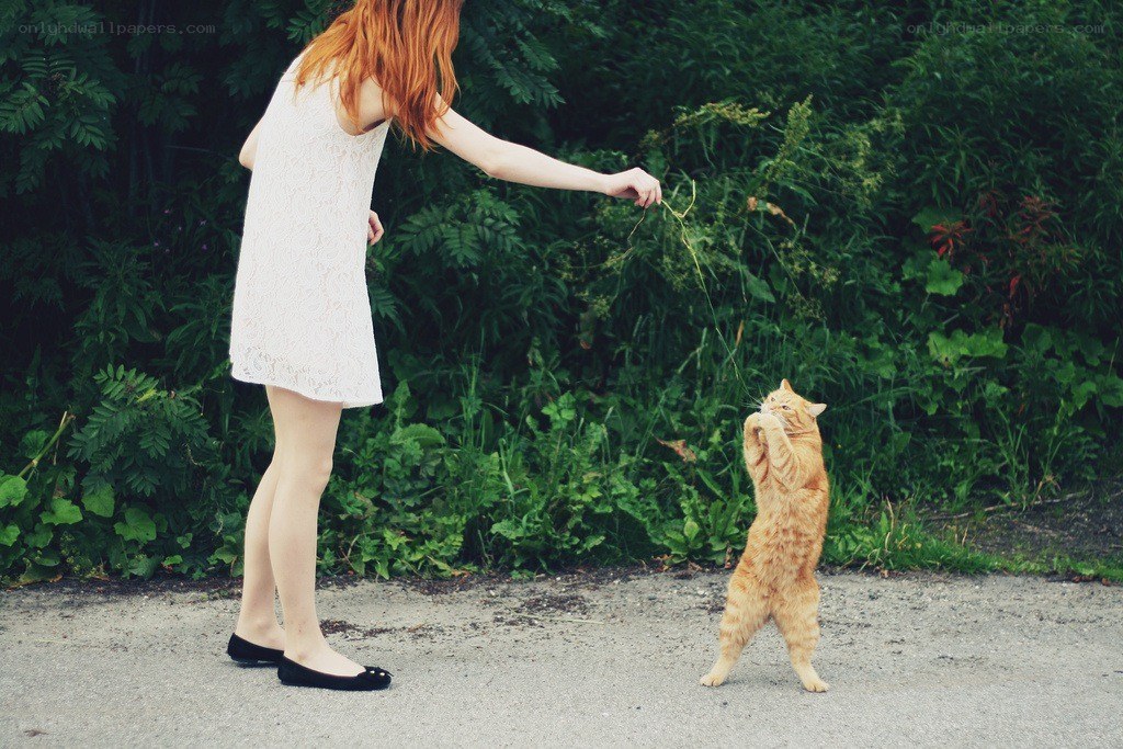 woman playing with cat