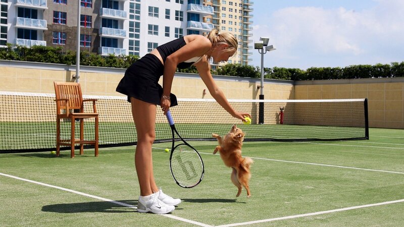 Woman playing with dog on tennis court
