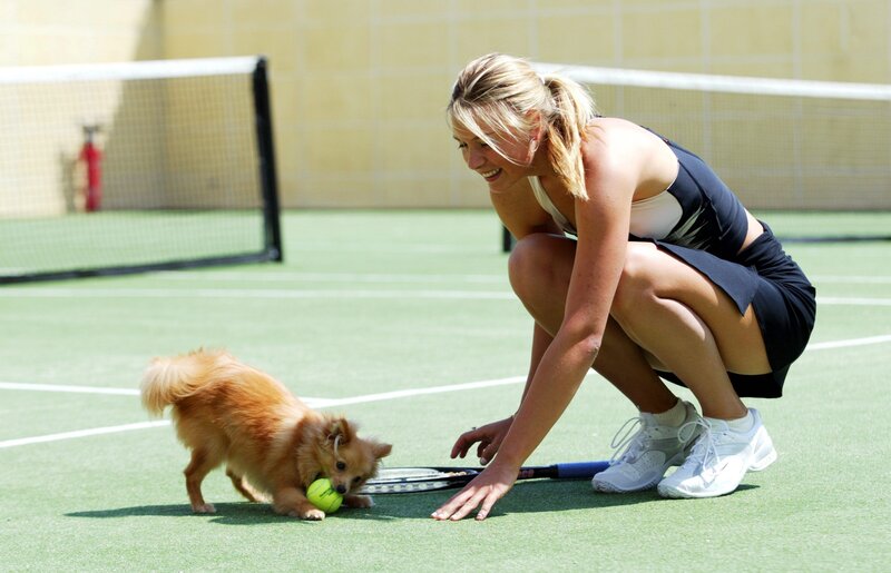 Woman playing with dog on tennis court