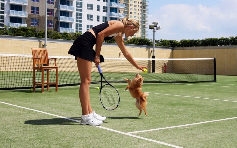 Woman Playing with Dog
