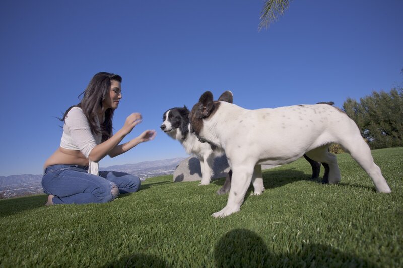 Woman playing with dogs outdoors