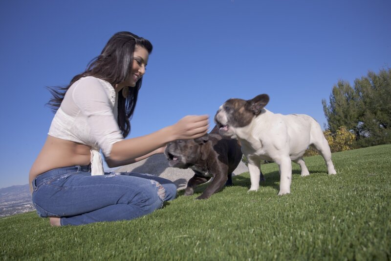 Woman playing with two puppies