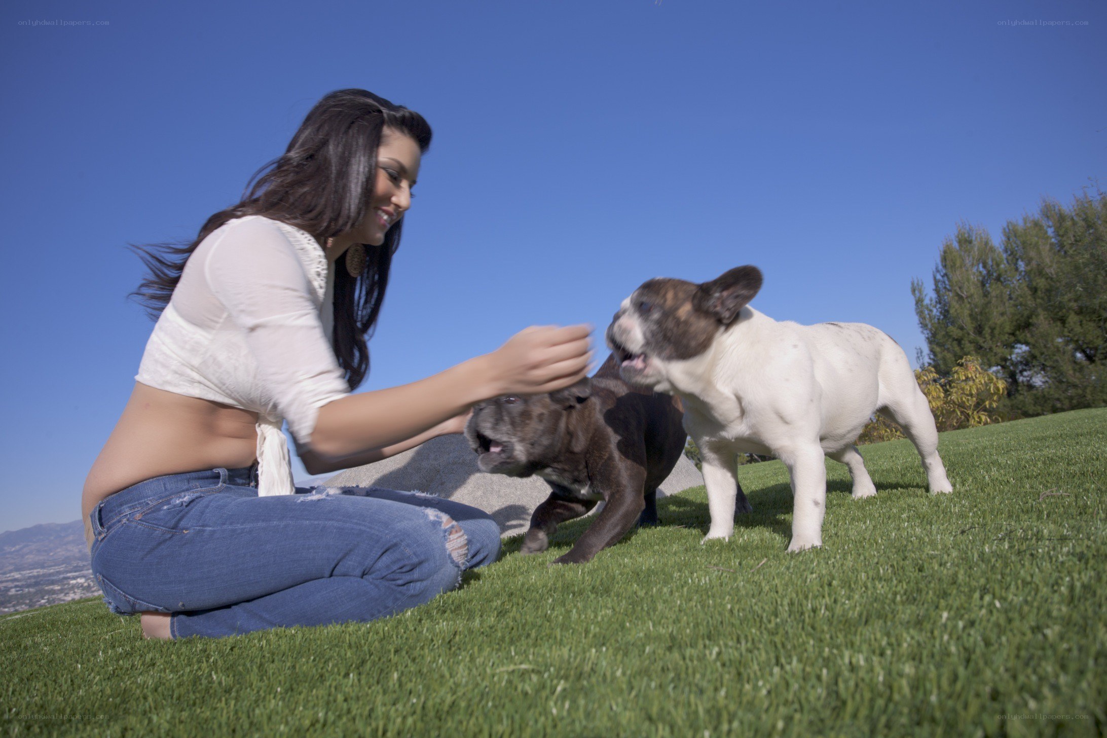 Woman playing with two puppies