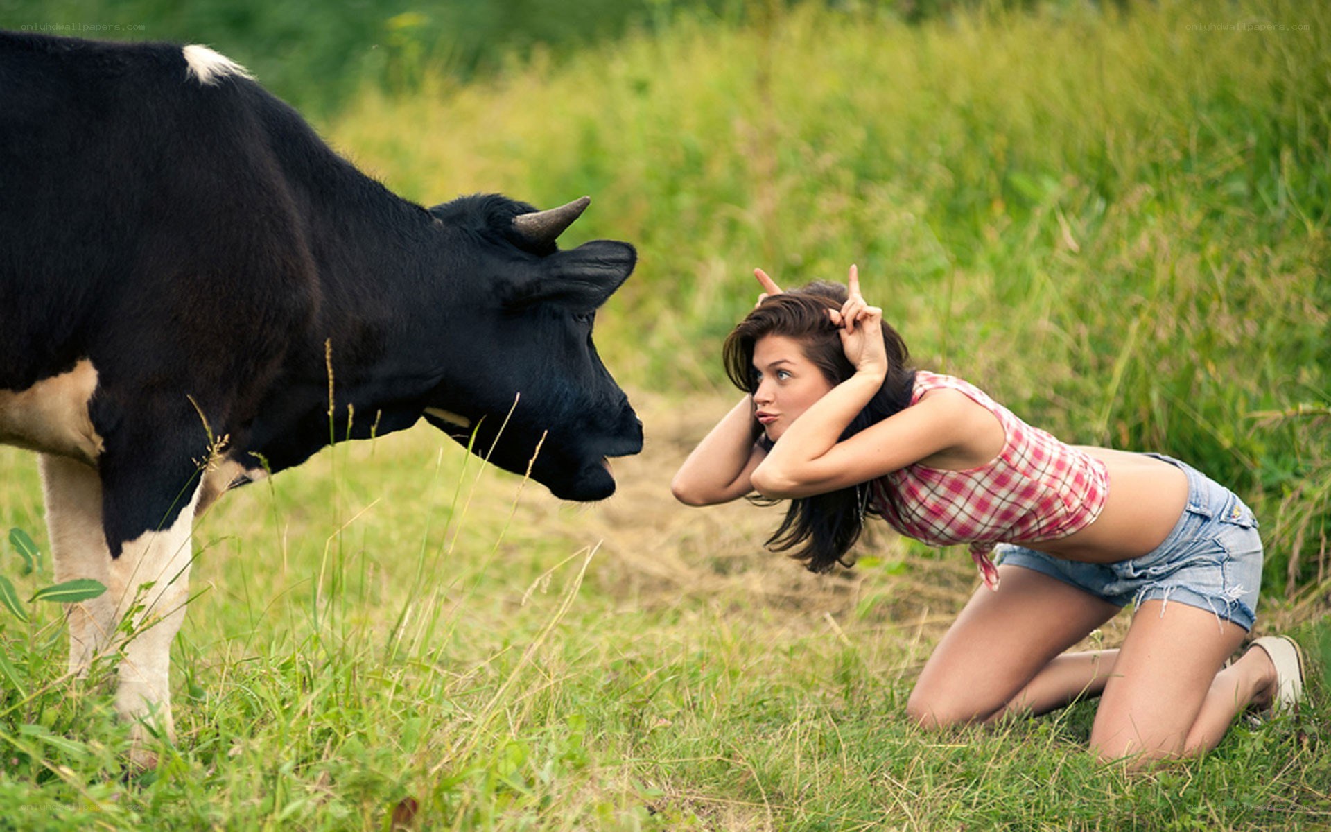 woman posing with cow in field