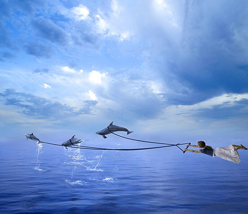 Woman Pulled by Dolphins