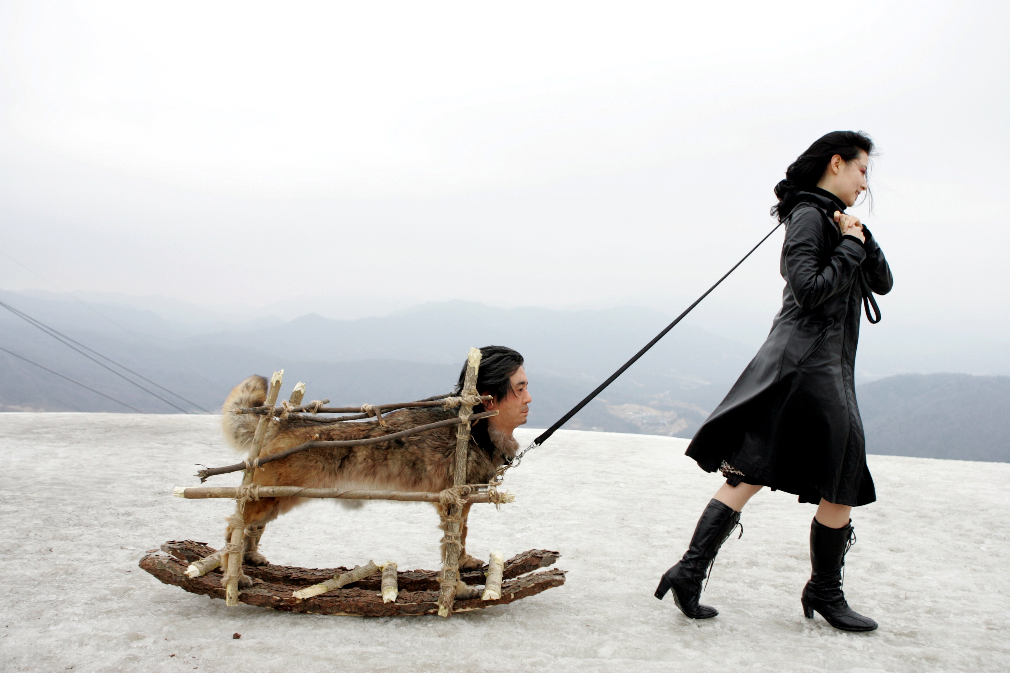 Woman pulling man on sled