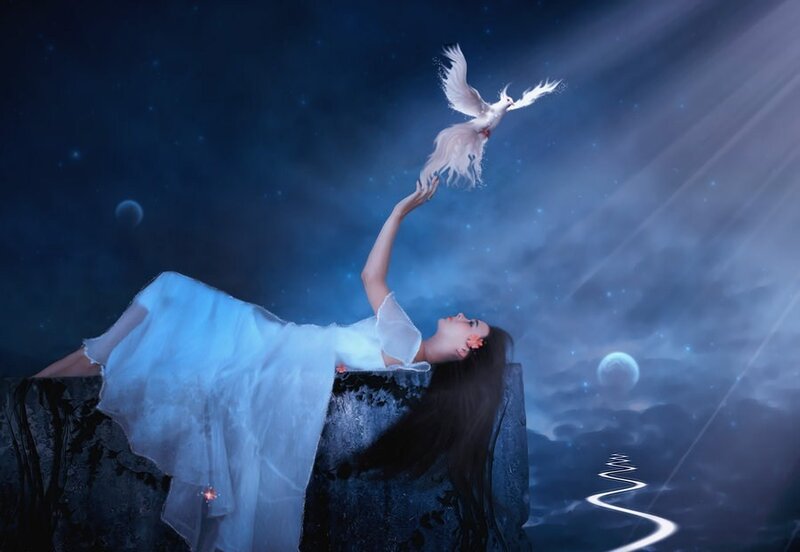 woman reaching for a dove