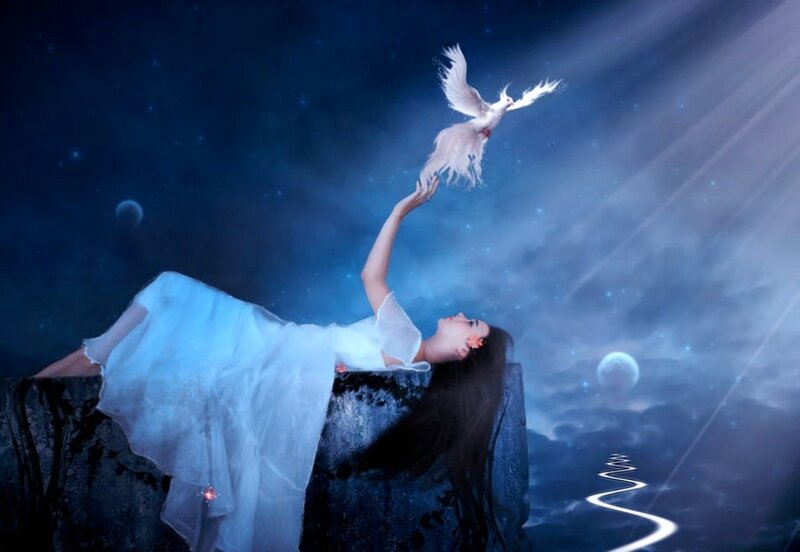 Woman Reaching for Dove — Blue, Serene