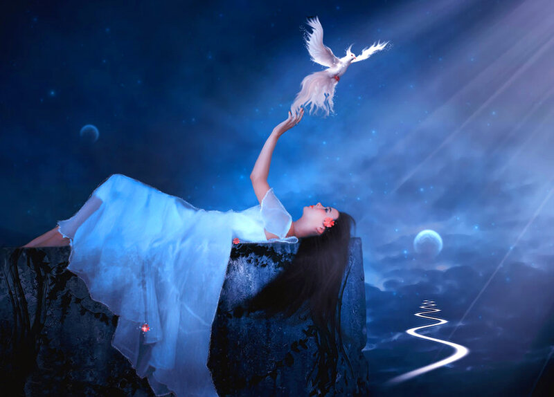 Woman Reaching for Dove