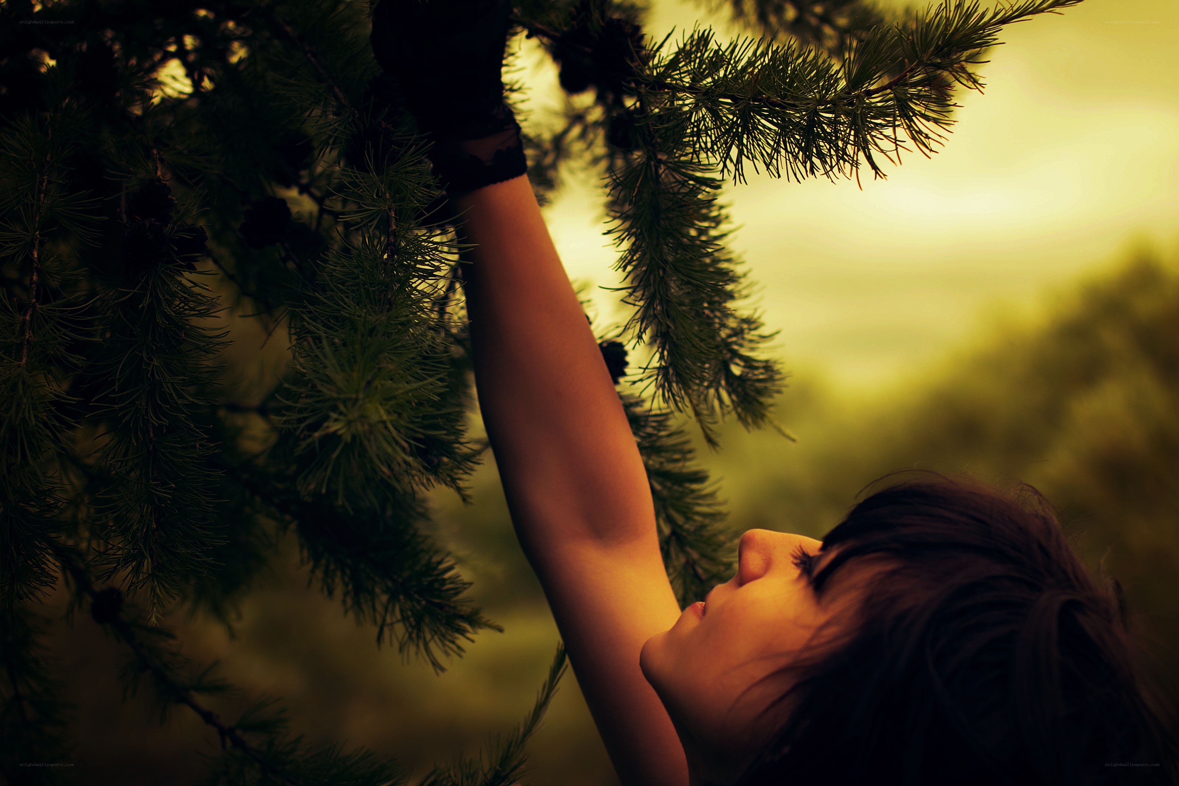 woman reaching for tree branch
