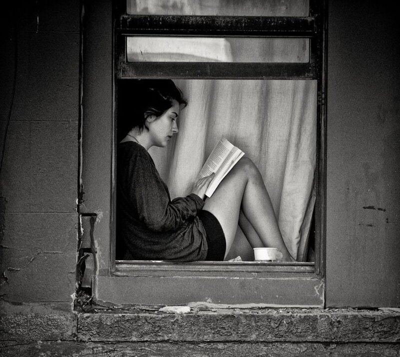 Woman Reading Book — Black, Contemplative, Photograph, Window