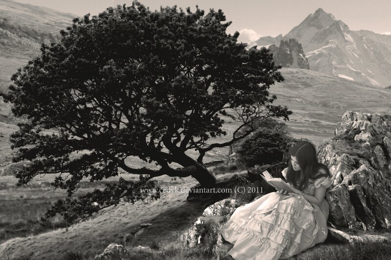 Woman Reading Book — Black, Serene