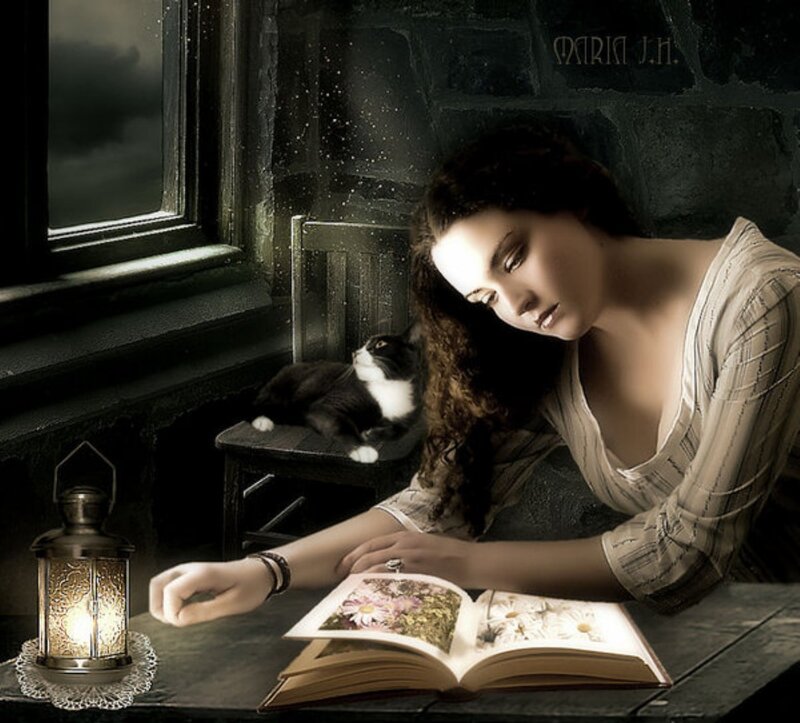 Woman Reading Book — Brown, Dramatic